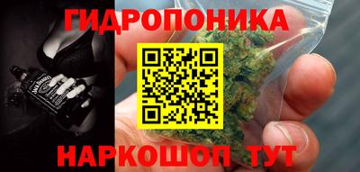 спиды Кинель