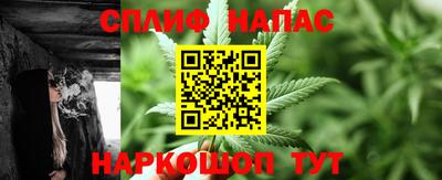 спиды Кинель