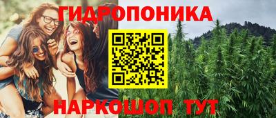 наркотики Кингисепп