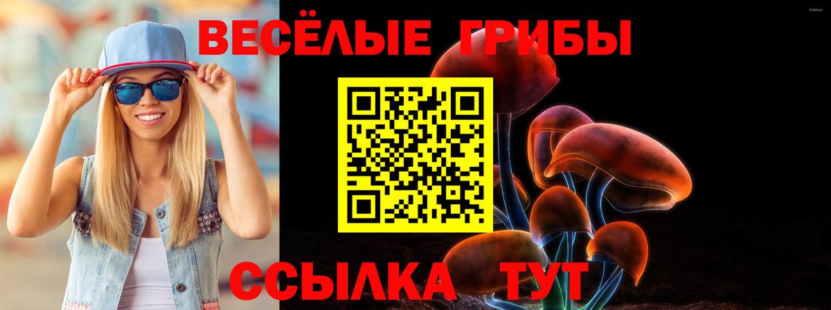 Кострома  Псилоцибиновые грибы ЛСД  Вход с VPN 